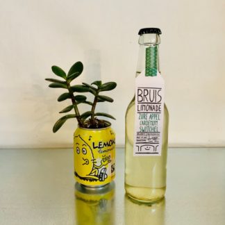 Bruis | Kombucha | Lavendel-Braam